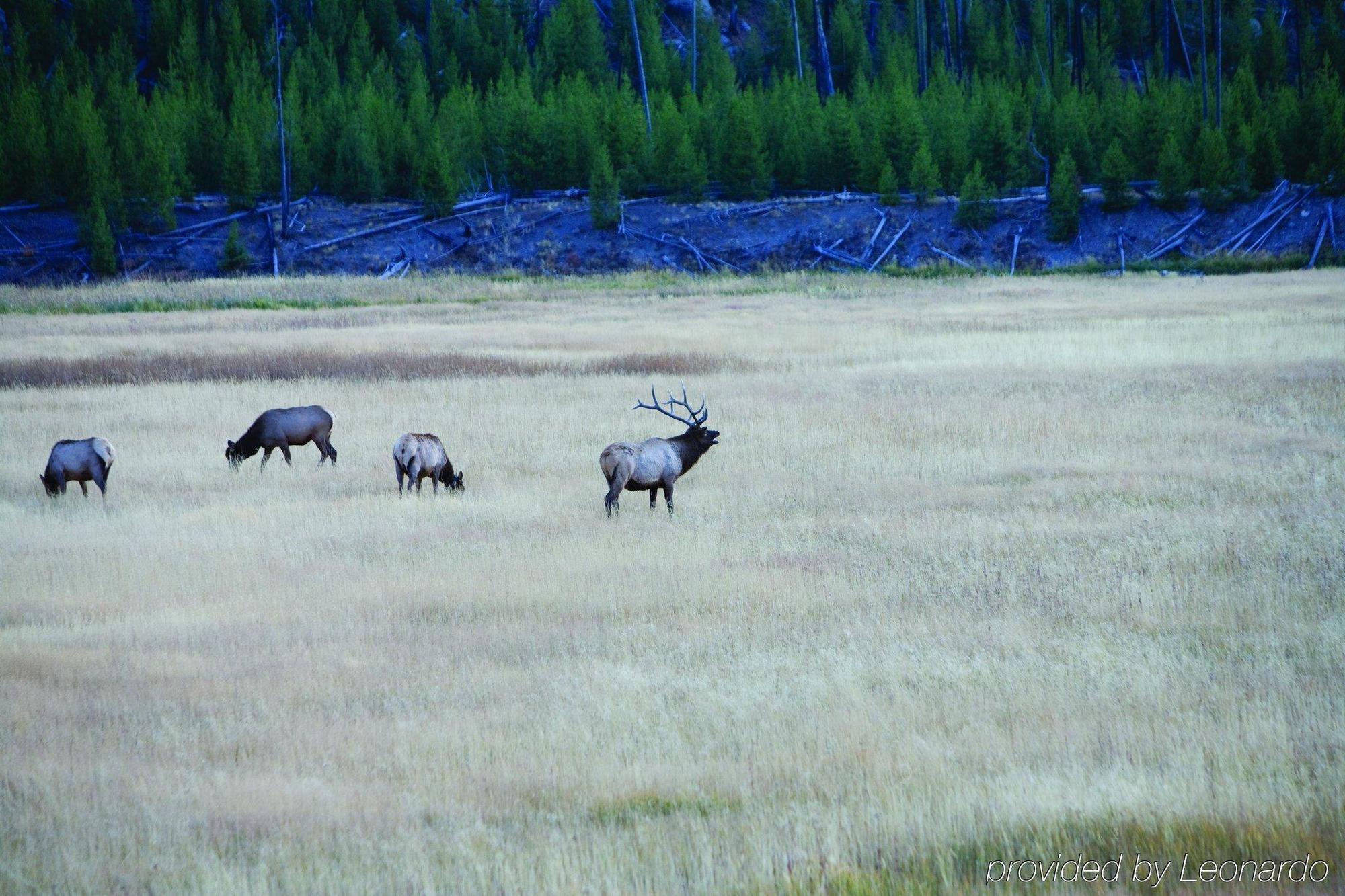 Worldmark West Yellowstone Zewnętrze zdjęcie